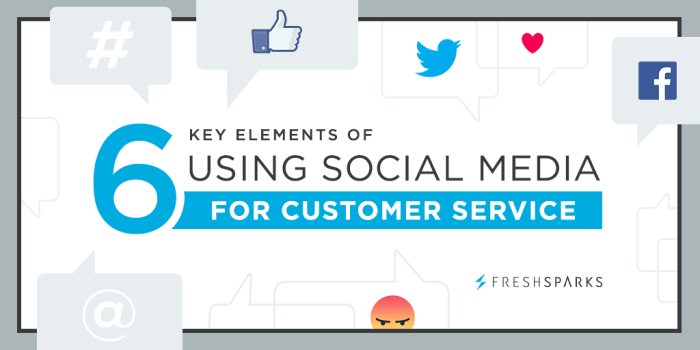 Using Social Media for Customer Support