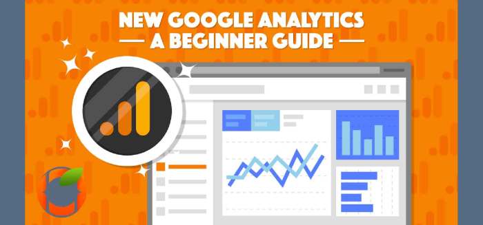 Google Analytics Guide