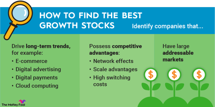 High-growth stocks