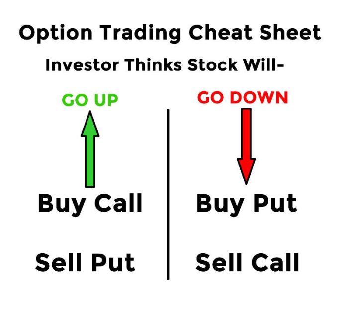 Options trading for beginners